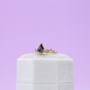 Aanika's Engagement Ring 5