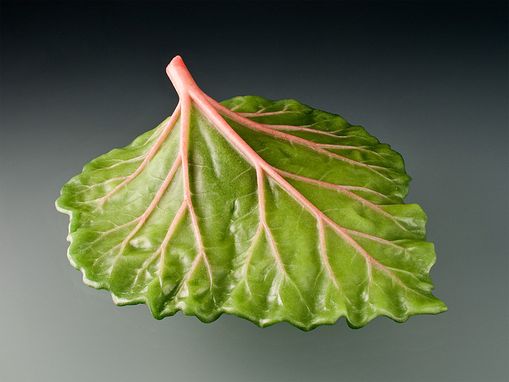 Custom Made Glass Rhubarb Leaf And Glass Raspberries Sculpture