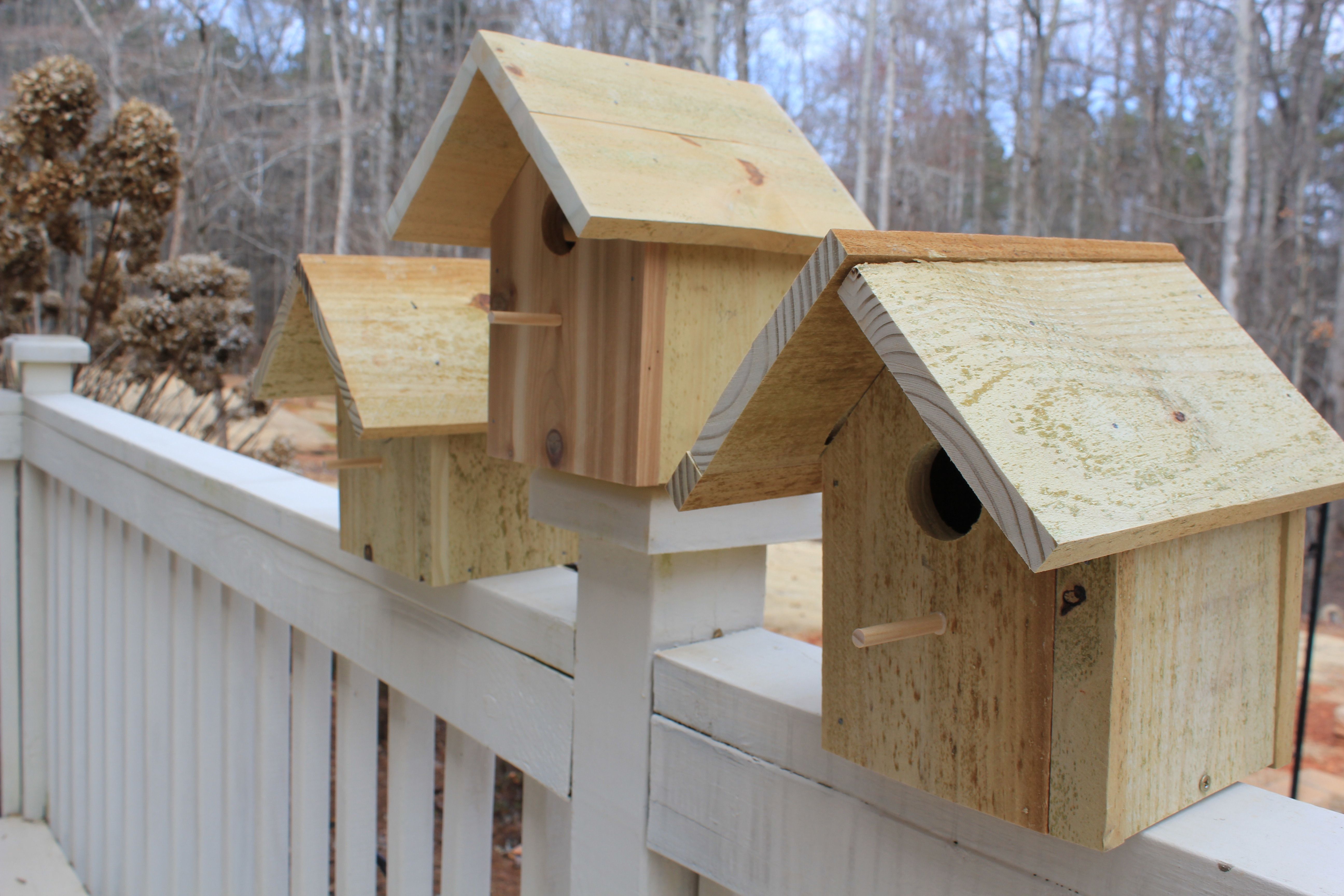 Custom Made Rustic Cedar Bird House by Debner Fine Art and Furniture