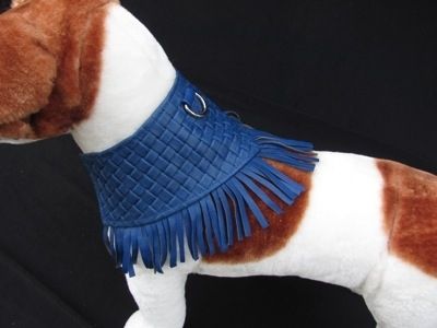 Custom Made Patterned Leather Fringed Dog Collar.