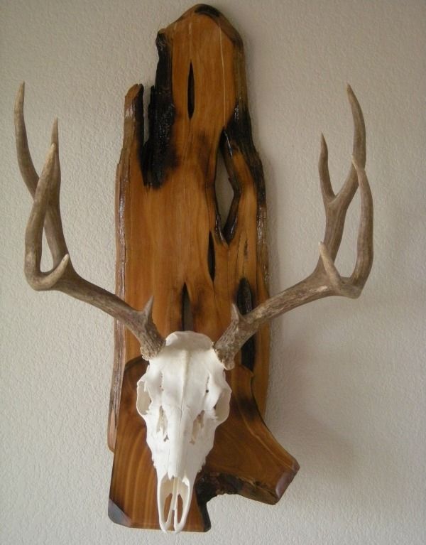 Custom Deer  Plaque by Woodworking CustomMade com