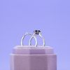 Skylar's Engagement Ring 1