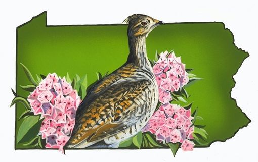 Custom Made Pennsylvania State Bird And Flower