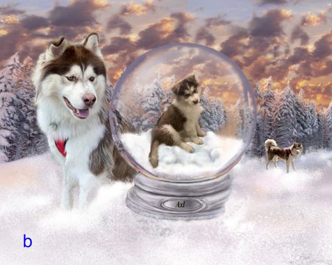 Custom Made Snow Globe Artwork Custom Portrait Painting Of Pet, Home Or Family