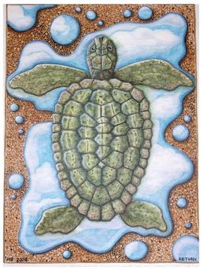 Custom Made Turtle Painting