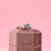 Kevin's Engagement Ring 5