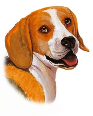 Custom Made Beagle