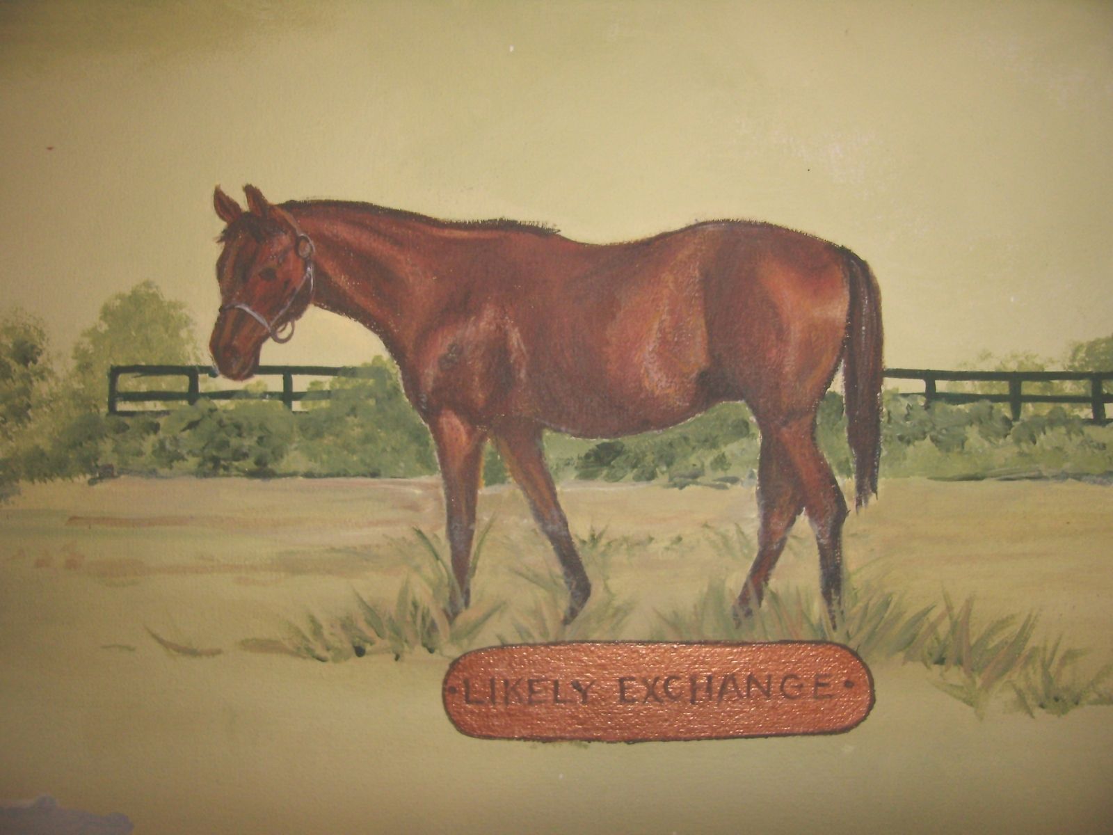 Handmade Shawnee Farms Custom Map by Ckpaints