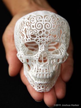 Custom Made "Crania Anatomica Filigre" Skull