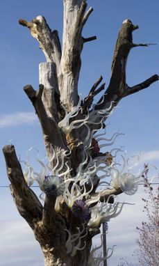 Custom Made 'Lost Trees...Reborn' | Custom Chandeliers & Glass Art