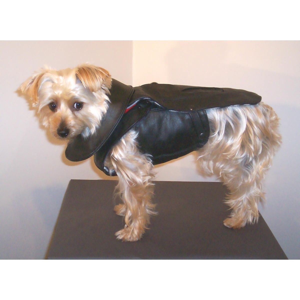 Hand Crafted Leather Dog Coat And Harness by Miguel and Co