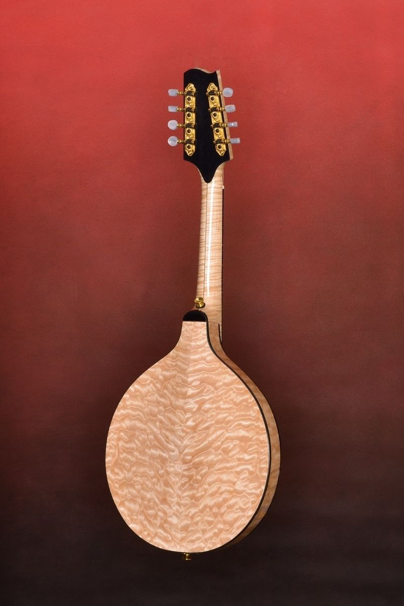 Hand Made Custom Handmade Mandolin Family Musical Instrument by