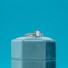 Jennifer's Engagement Ring 4