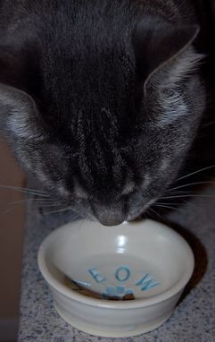 Custom Made Cat Water And Food Bowl Feeding Set  Custom Made