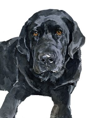 Custom Made Lab Dog Custom Portrait, Watercolor, Labrador Retriever