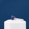 Nathalie's Engagement Ring 1