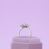 Meghan's Engagement Ring 1