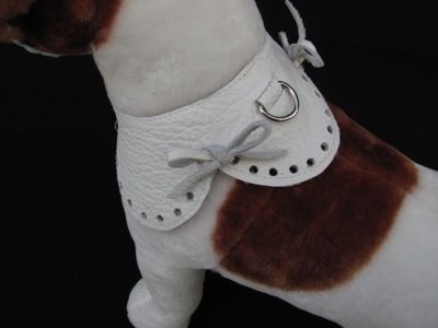 Custom Made Scalloped Leather Dog Collar