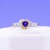 Robin's Engagement Ring 3