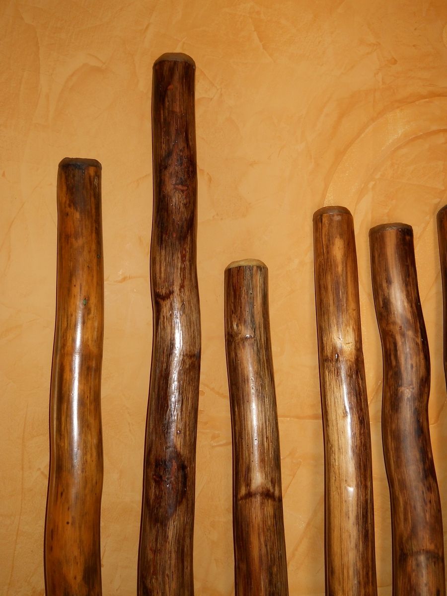Custom Agave Didgeridoo Didjeridu by Dancing Cedar Woodworks