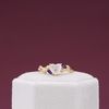 Paulina's Engagement Ring 3