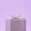 Meghan's Engagement Ring 5