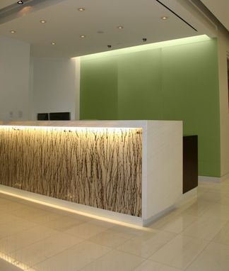 Custom Made Backlit Reception Desk With Absolute White Stone Top