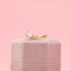 William's Engagement Ring 5