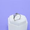 Spencer's Engagement Ring 2