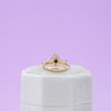 Aanika's Engagement Ring 2