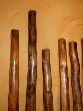Custom Made Agave Didgeridoo Didjeridu