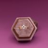 Kierra's Engagement Ring 1