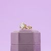 Dominick's Engagement Ring 3