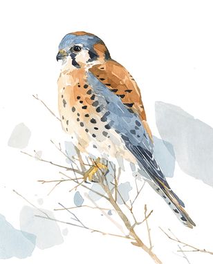 Custom Made 8x10 Bird Watercolor Painting