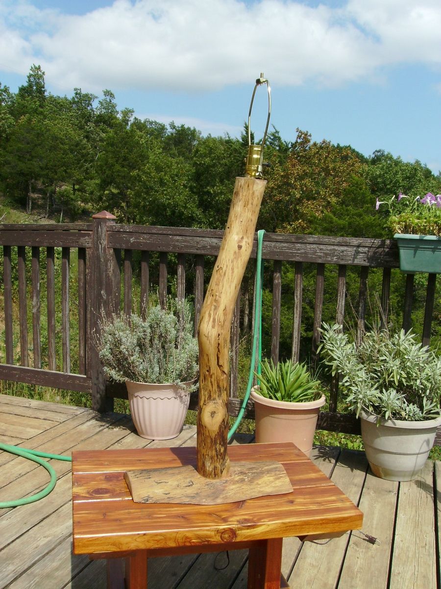 Handmade Rustic Hickory Log Table Lamps And Floor Lamp by Ozark Wood ...