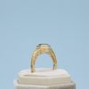 Laney's Engagement Ring 1