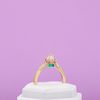 Amber's Engagement Ring 4