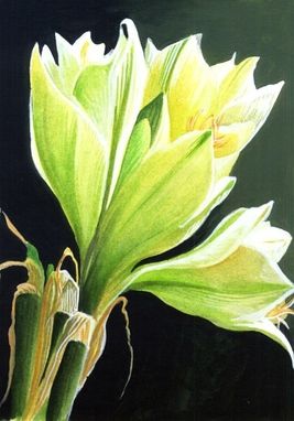 Custom Made Amaryllis Flower