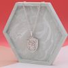 Shawn's Necklace 2