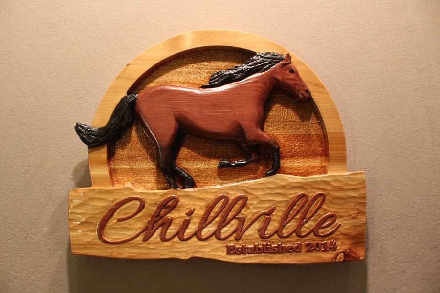 Custom Horse Sign Barn Sign Horse Lovers Gift Ranch Sign Personalized Horse Sign Horse Stall Sign Horse Name Plate