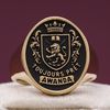 David's Signet Ring 4