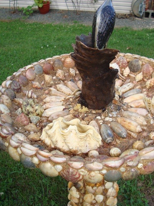 Hand Crafted Sea Shell Birdbath With Driftwood Perch by A 1 Time Design