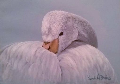 Custom Made "Grace"  Trumpeter Swan Painting