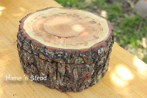 Custom Made The "Storage Stump" |  Hidden Log Organiser