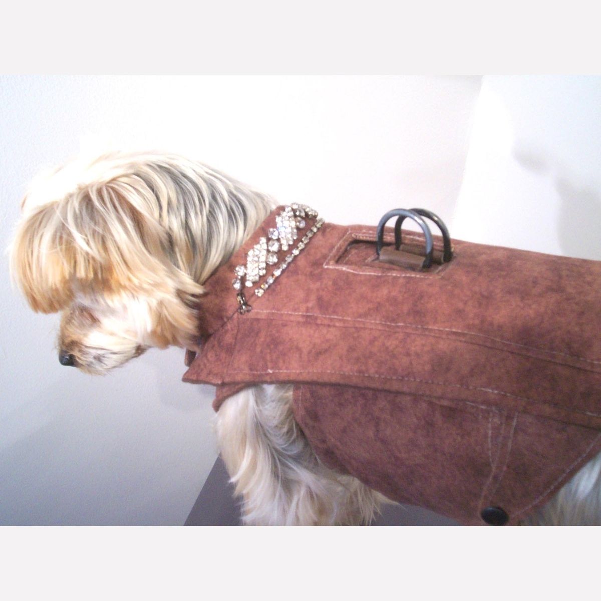 Custom Made Dog Coat And Harness by Miguel and Co.