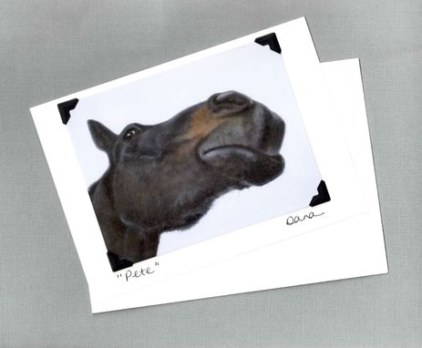 Custom Made Funny Horse Card - Thoroughbred Horse Looking Skyward - Horse Art Print Postcard