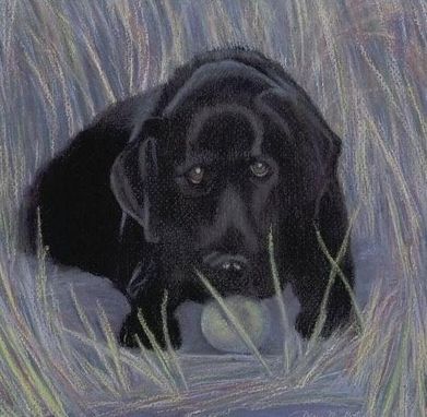 Custom Made Black Lab Pup (Dog Portrait) Pastel - Matted Fine Art Print On Paper (8