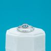 Alora's Engagement Ring 2