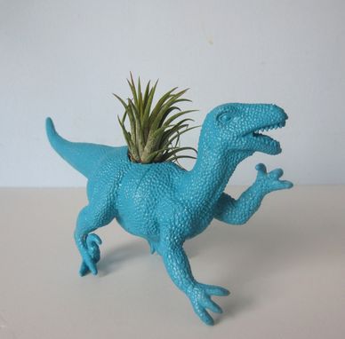 Custom Made Upcycled Dinosaur Planter - Turquoise Blue Raptor With Tillandsia Air Plant
