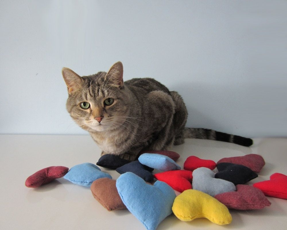 Custom Upcycled Organic Catnip Cat Toys Made From Recycled TShirts